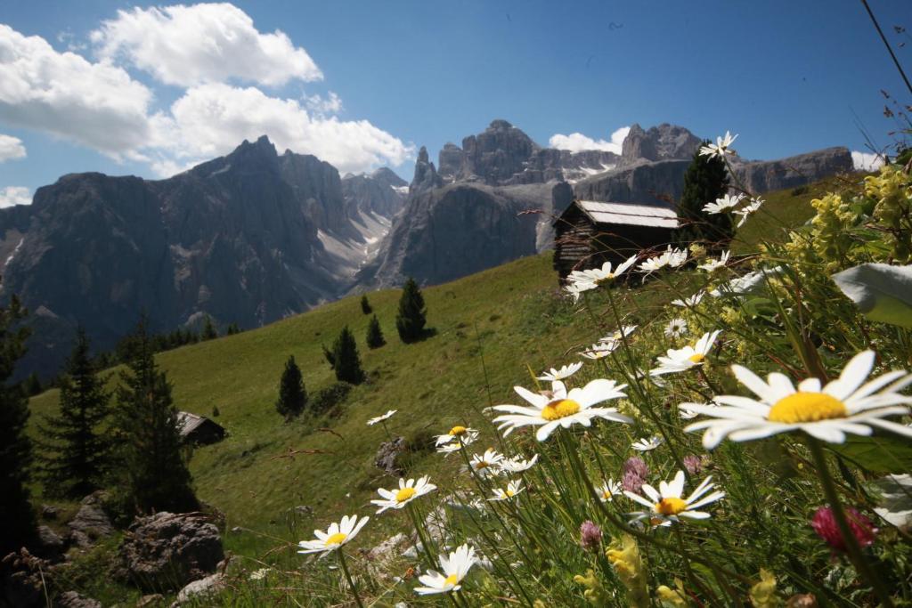 Hotel Ciasa Ai Pini San Cassiano  Kültér fotó