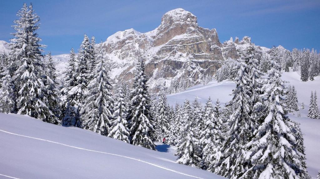 Hotel Ciasa Ai Pini San Cassiano  Kültér fotó